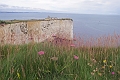 07 07 16_8609_edited-1
